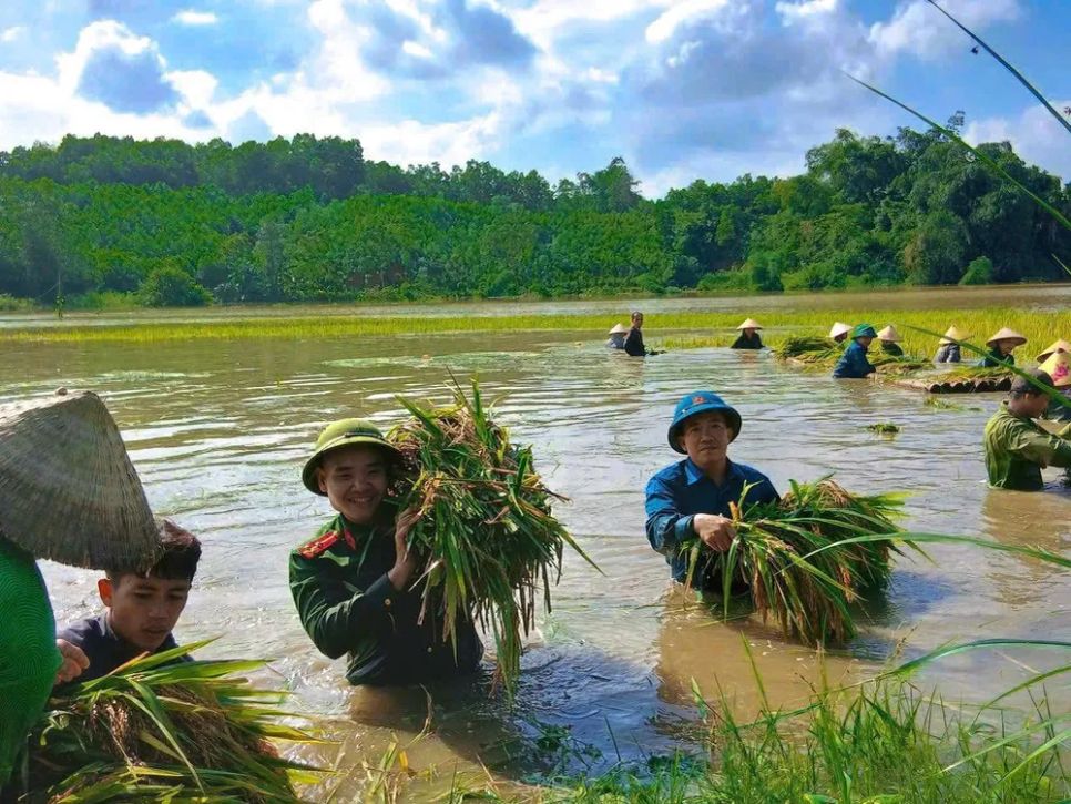 14 tỉnh, thành được yêu cầu khẩn trương ứng phó bão Matmo