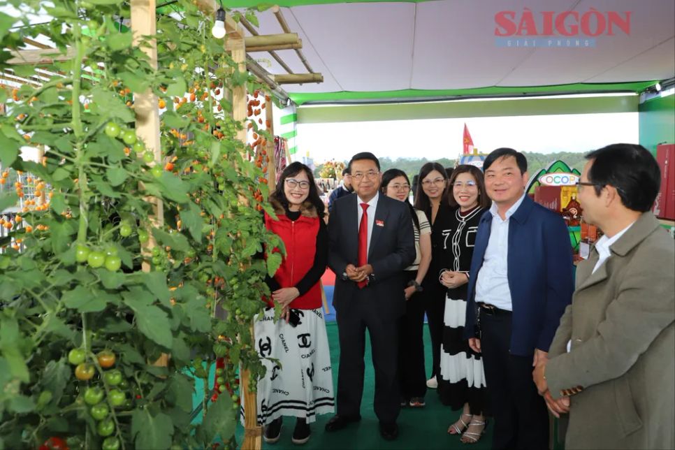 Bên cạnh hội nghị chính, chuỗi hoạt động bên lề sẽ được tổ chức tại Quảng trường Lâm Viên, bao gồm: <span style=