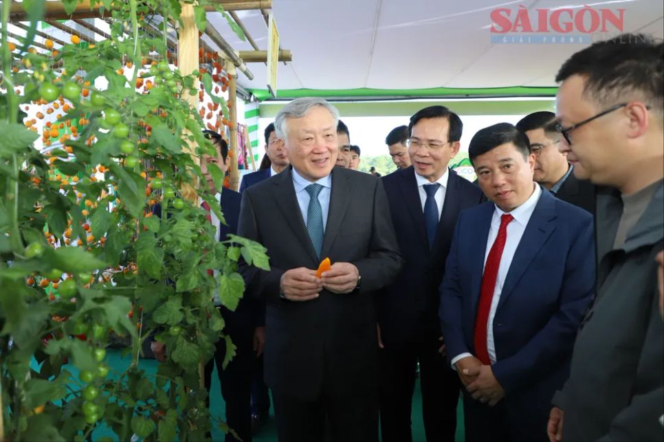 Phó Thủ tướng Thường trực Nguyễn Hòa Bình cùng lãnh đạo tỉnh Lâm Đồng tham quan không gian trưng bày sản phẩm nông nghiệp công nghệ cao bên lề hội nghị. Ảnh: ĐOÀN KIÊN