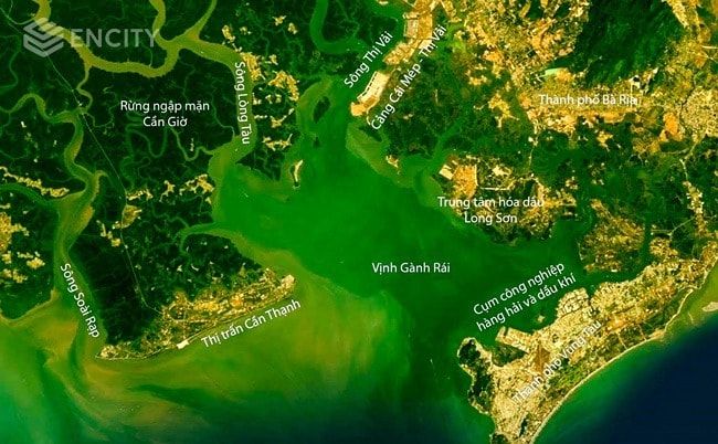 Hình 1: Vùng vịnh Gành Rái. Nguồn: Nguyễn Đỗ Dũng