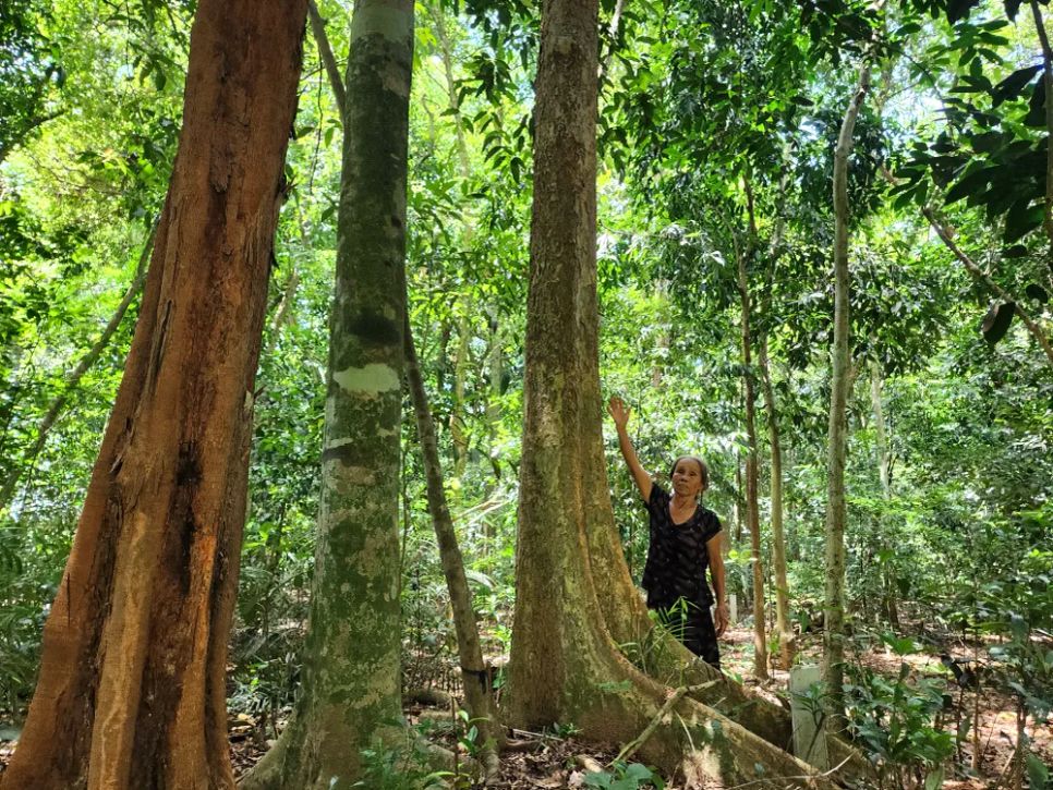 Bà Nguyễn Thị Đào bên rừng cây cổ thụ Bà Nguyễn Thị Đào bên rừng cây cổ thụ