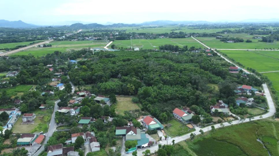 Giữ rừng cây cổ thụ giữa khu dân cư Giữ rừng cây cổ thụ giữa khu dân cư