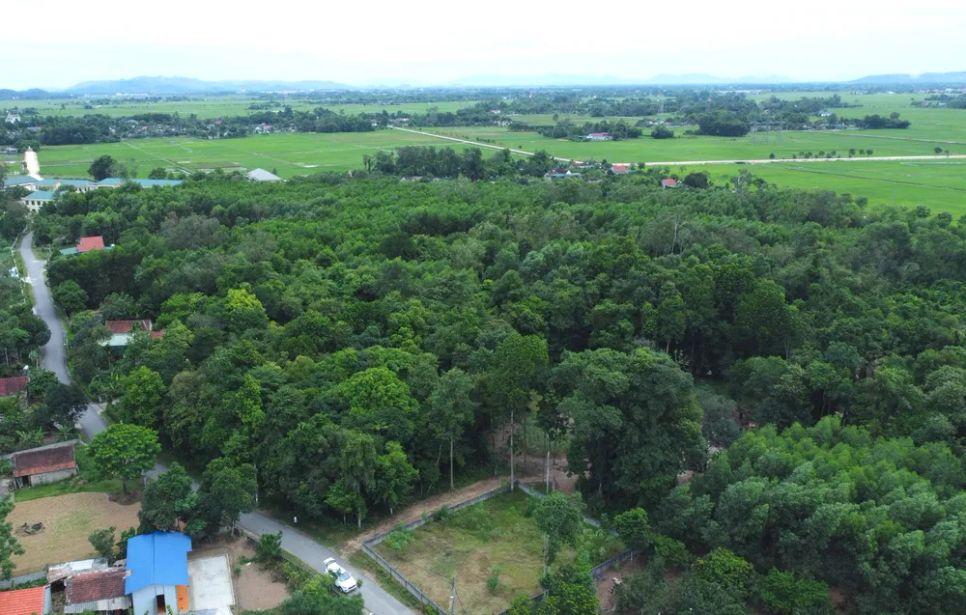 Khu rừng cây cổ thụ nằm giữa khu dân cư thôn Hạ Tiến Khu rừng cây cổ thụ nằm giữa khu dân cư thôn Hạ Tiến