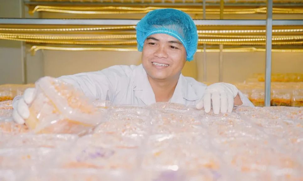 Nông dân trẻ Trần Tài với nhiều kiến thức, kỹ năng làm nông nghiệp công nghệ cao