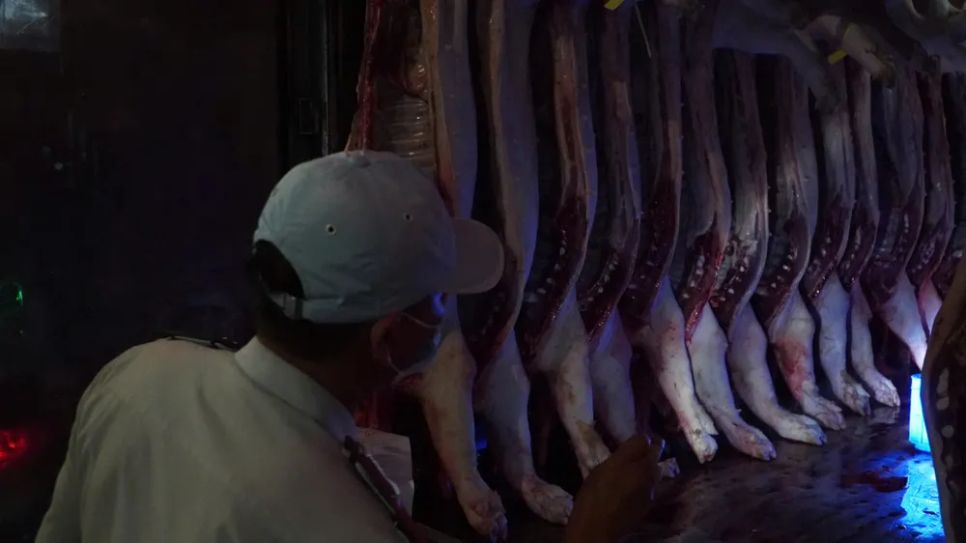 Thịt heo nhập về <span style=