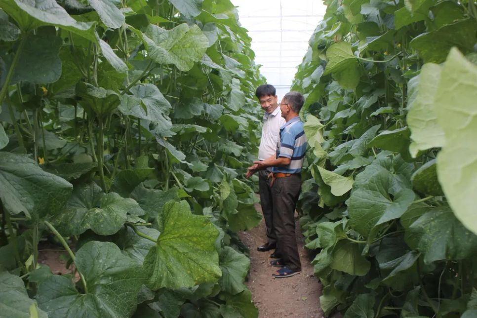 TPHCM: Đồng hành cùng nông sản sạch giai đoạn 2025 – 2030