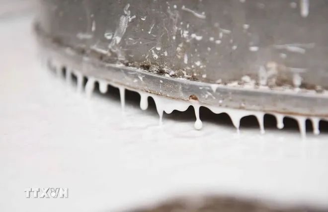 Di sản phi vật thể nghề làm bánh đa nem Thổ Hà Di sản phi vật thể nghề làm bánh đa nem Thổ Hà