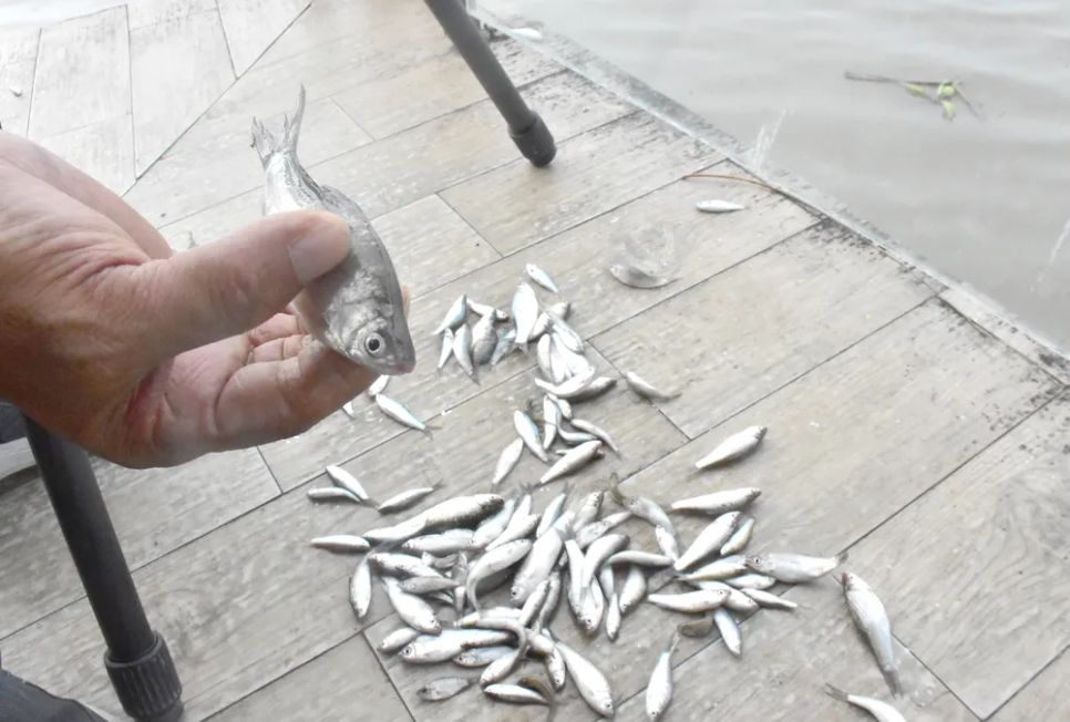 Một công việc tưởng dễ nhưng lại khá khó là quăng 