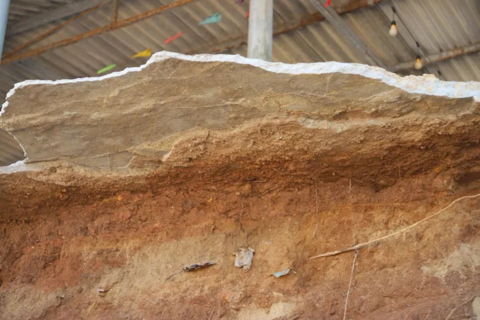 Tan hoang bãi biển Hàm Rồng