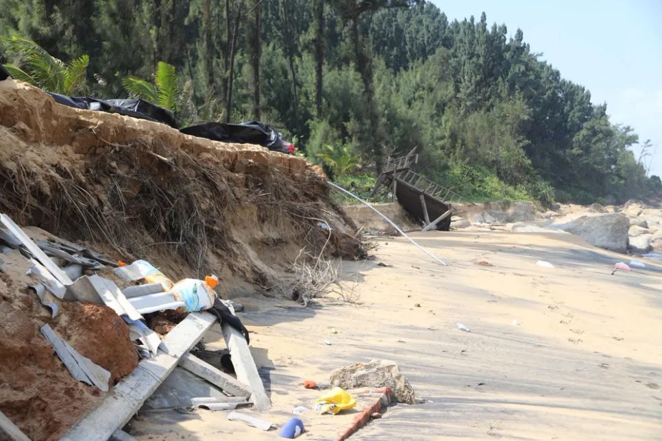Tan hoang bãi biển Hàm Rồng