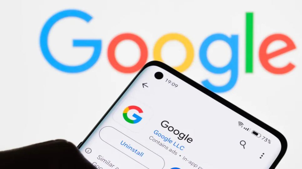 Image: mundissima/Shutterstock.com Image: mundissima/Shutterstock.com