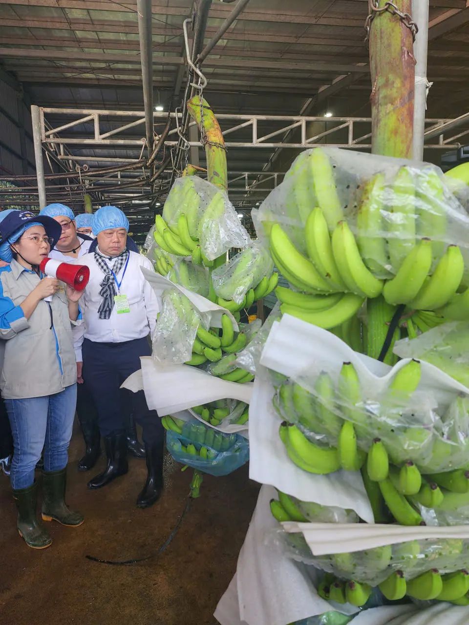 Bà Huỳnh Thị Tuyết Hương, Phó Tổng <span style=