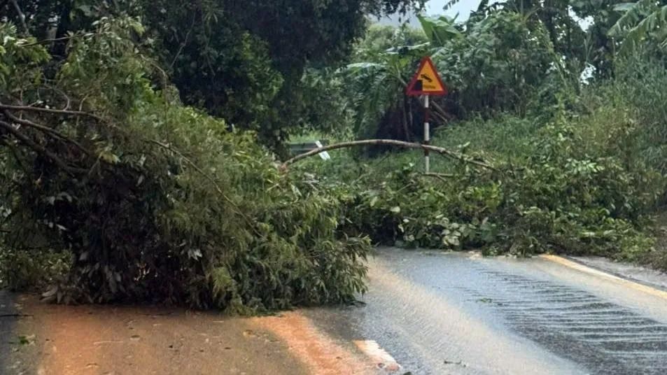 Khánh Hòa: Sạt lở nghiêm trọng trên đèo Ngoạn Mục Khánh Hòa: Sạt lở nghiêm trọng trên đèo Ngoạn Mục