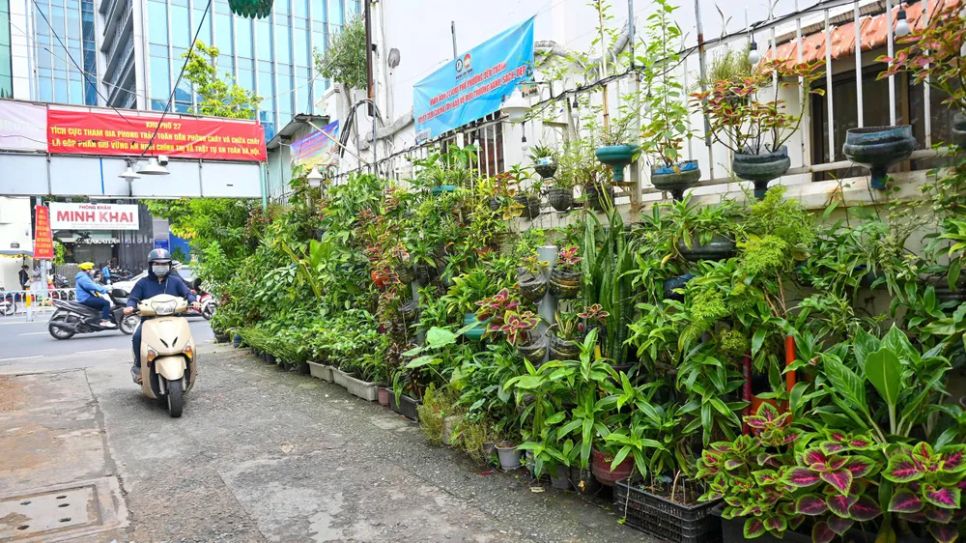 Báo Sài Gòn Giải Phóng ra mắt trang chuyên đề 'Sức sống cơ sở'