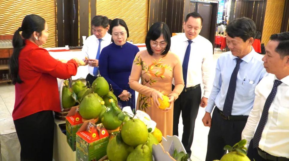 Các đại biểu tại hội nghị