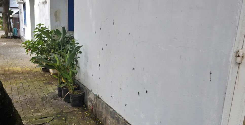 Sâu bò lên tường