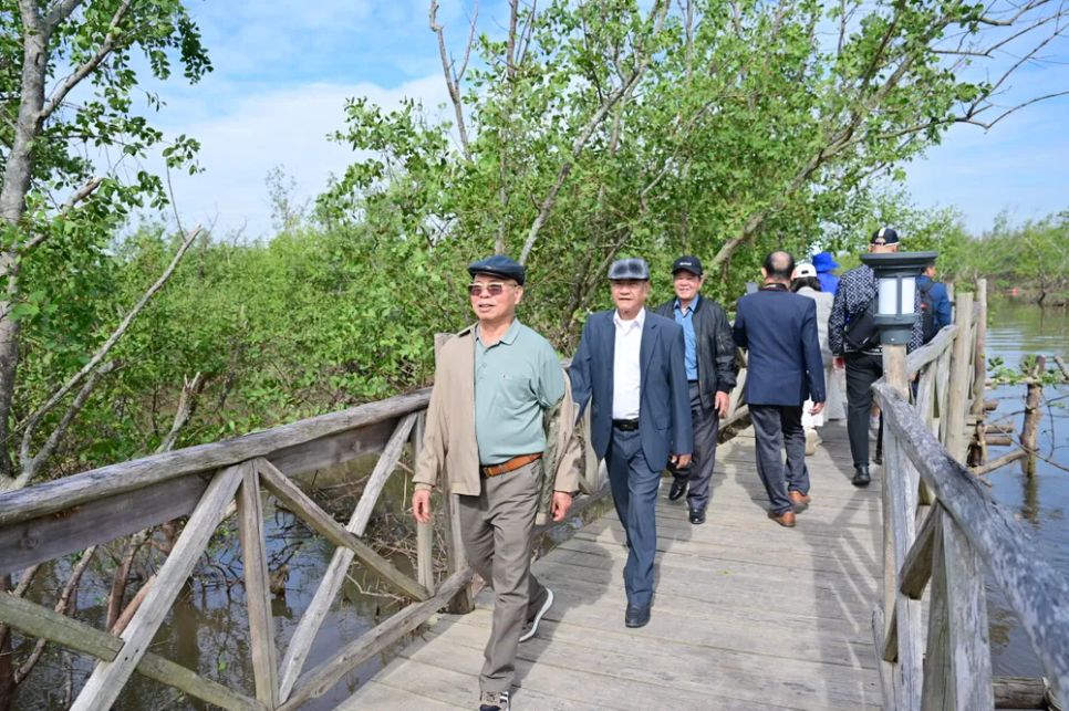 Khám phá rừng ngập mặn ở Đồ Sơn, TP Hải Phòng Khám phá rừng ngập mặn ở Đồ Sơn, TP Hải Phòng