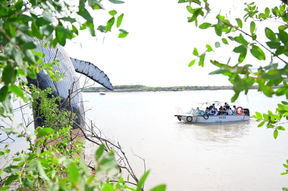 Khám phá rừng ngập mặn ở Đồ Sơn, TP Hải Phòng Khám phá rừng ngập mặn ở Đồ Sơn, TP Hải Phòng