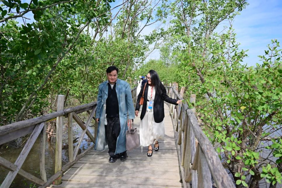 Khám phá rừng ngập mặn ở Đồ Sơn, TP Hải Phòng Khám phá rừng ngập mặn ở Đồ Sơn, TP Hải Phòng