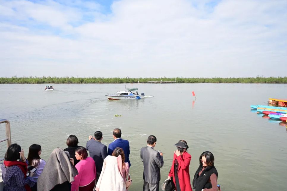 Khám phá rừng ngập mặn ở Đồ Sơn, TP Hải Phòng Khám phá rừng ngập mặn ở Đồ Sơn, TP Hải Phòng