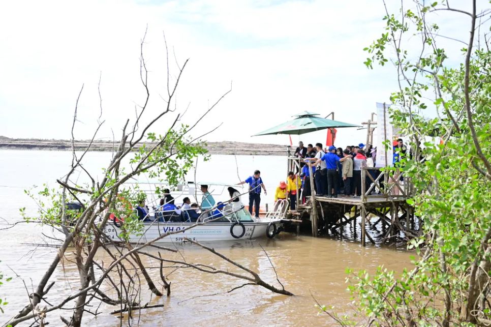 Khám phá rừng ngập mặn ở Đồ Sơn, TP Hải Phòng Khám phá rừng ngập mặn ở Đồ Sơn, TP Hải Phòng