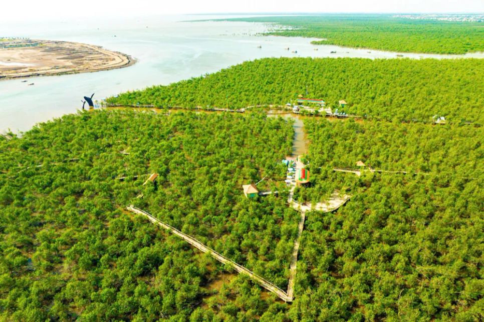 Rừng ngập mặn Đồi Rồng được xem là Rừng ngập mặn Đồi Rồng được xem là