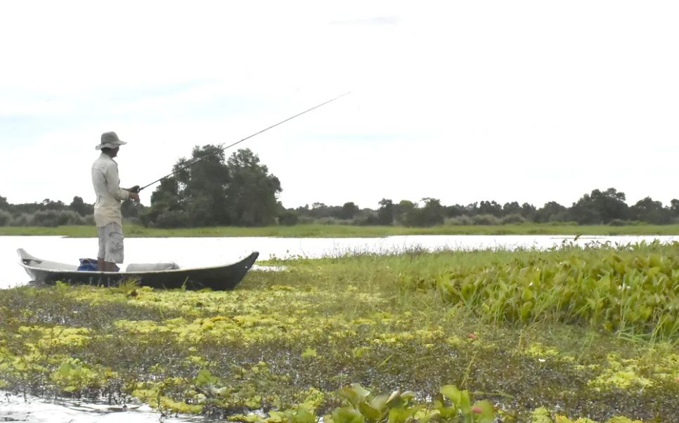 Những ngày cuối tuần, khách từ nhiều nơi đến mua vé vào câu các loại cá lóc, cá trê, cá sặc rằn và cá thát lát, trong đó câu nhiều nhất là cá lóc. Họ đi theo nhóm từ 5 đến 7 người.