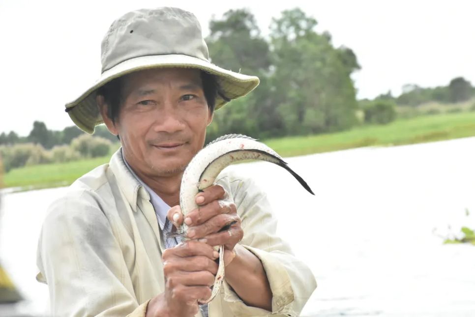 Ông Trần Thanh Nam (quê Cà Mau) cho biết, ngày “hên” ông câu được cá lóc đen nặng từ 5 đến 7kg hay cá lóc bông từ 3 đến 4kg. Sau khi câu được cá, ông bán lại cho vườn quốc gia hoặc mang về ăn. Cá lóc đen hiện có giá từ 180.000 đến 200.000 đồng/kg, cá lóc bông từ 80.000 đến 90.000 đồng/kg.