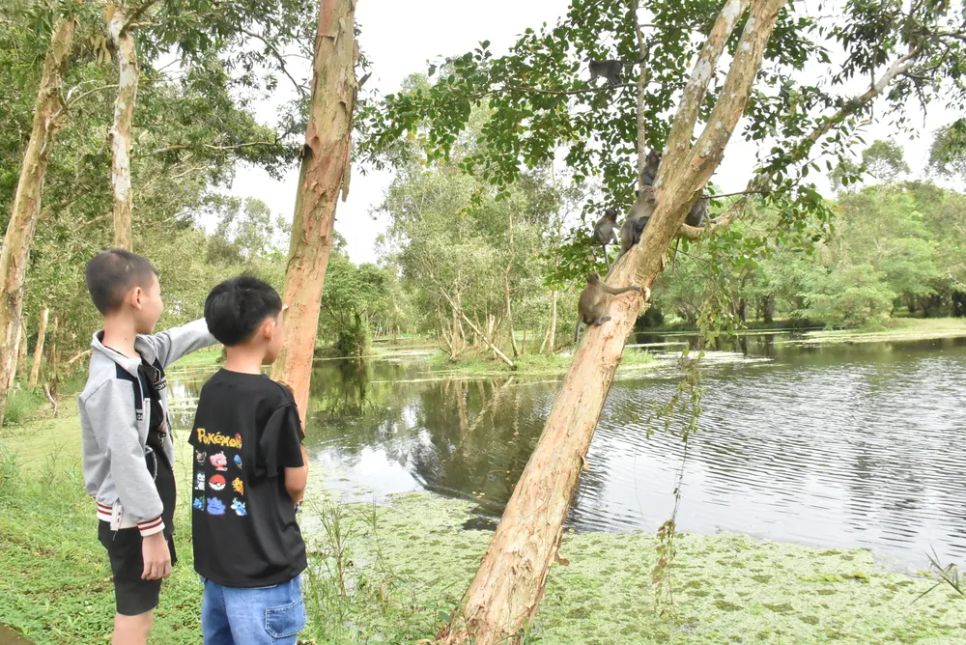 Từ đầu năm 2025 đến nay, Vườn quốc gia U Minh Thượng đón hơn 18 ngàn lượt khách đến tham quan, trải nghiệm