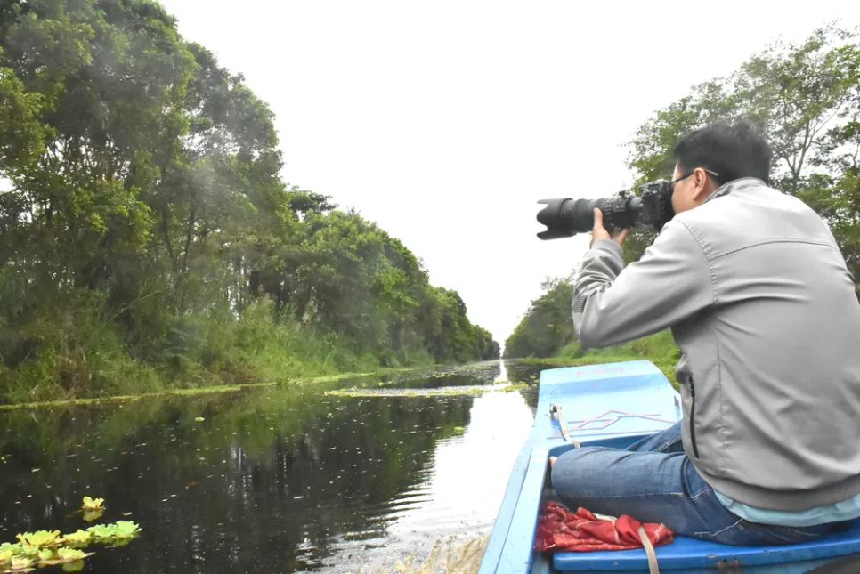 Với đặc trưng là rừng hỗn loài và rừng tràm trên đất than bùn chiếm 3.000ha, Vườn quốc gia U Minh Thượng còn là nơi nuôi dưỡng, trú ngụ của nhiều loài thực vật, động vật hoang dã quý hiếm