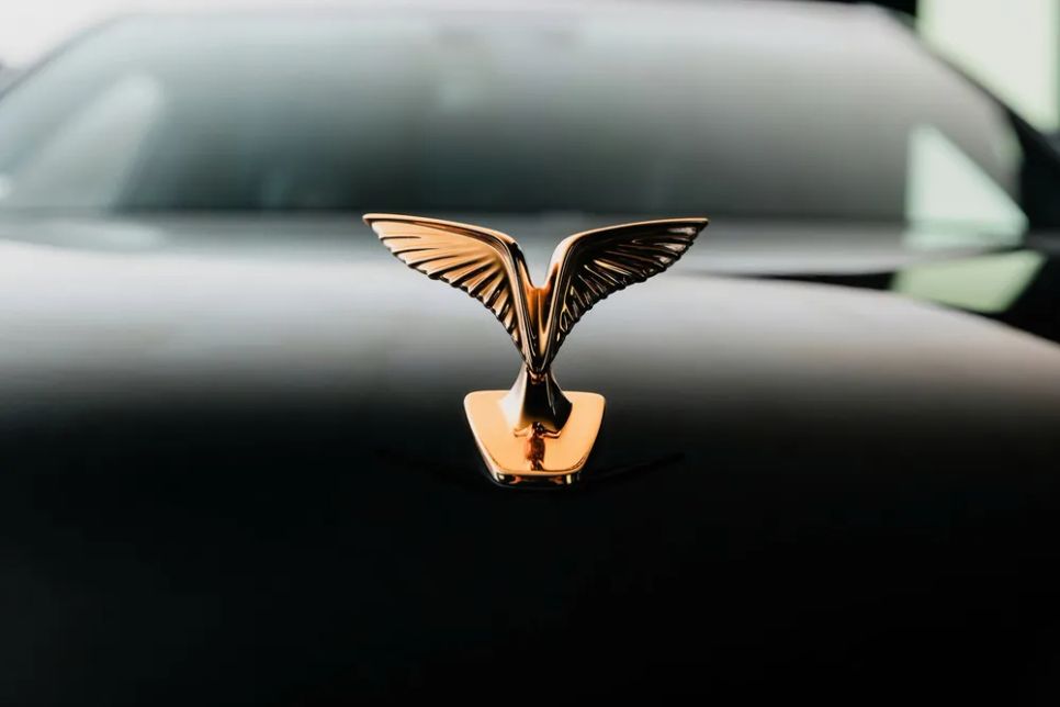 Giải mã chất Việt trên Lạc Hồng 900 LX