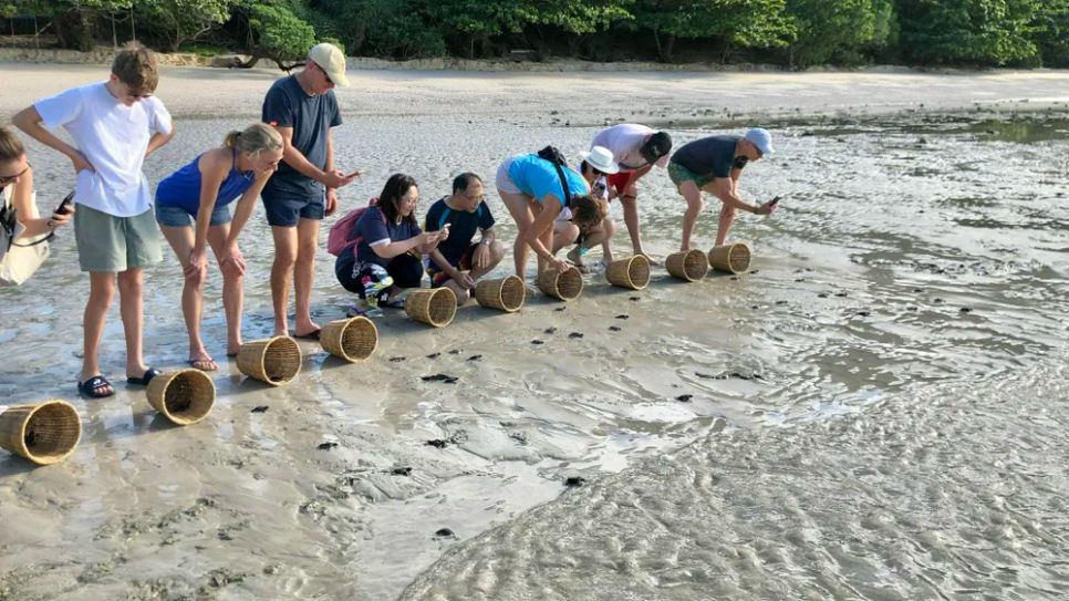 VQG Côn Đảo là khu bảo tồn thứ 3 của Việt Nam và là khu bảo tồn thứ 101 trên thế giới đạt danh hiệu Green List. Trong ảnh: Du khách trải nghiệm thả rùa con về biển tại VQG Côn Đảo. Ảnh: VQG