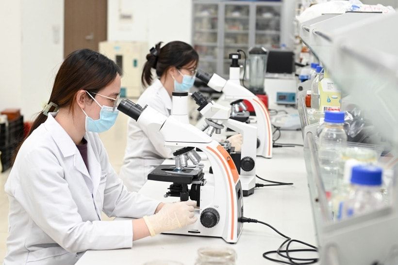 Công nghệ sinh học ‘Make in Vietnam’: Tầm quan trọng của hợp tác 3 nhà. Ảnh minh họa: Thế Đại Công nghệ sinh học ‘Make in Vietnam’: Tầm quan trọng của hợp tác 3 nhà. Ảnh minh họa: Thế Đại