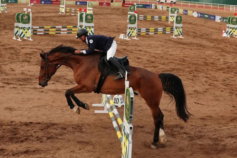 Mãn nhãn đường đua ngựa chuyên nghiệp Mãn nhãn đường đua ngựa chuyên nghiệp