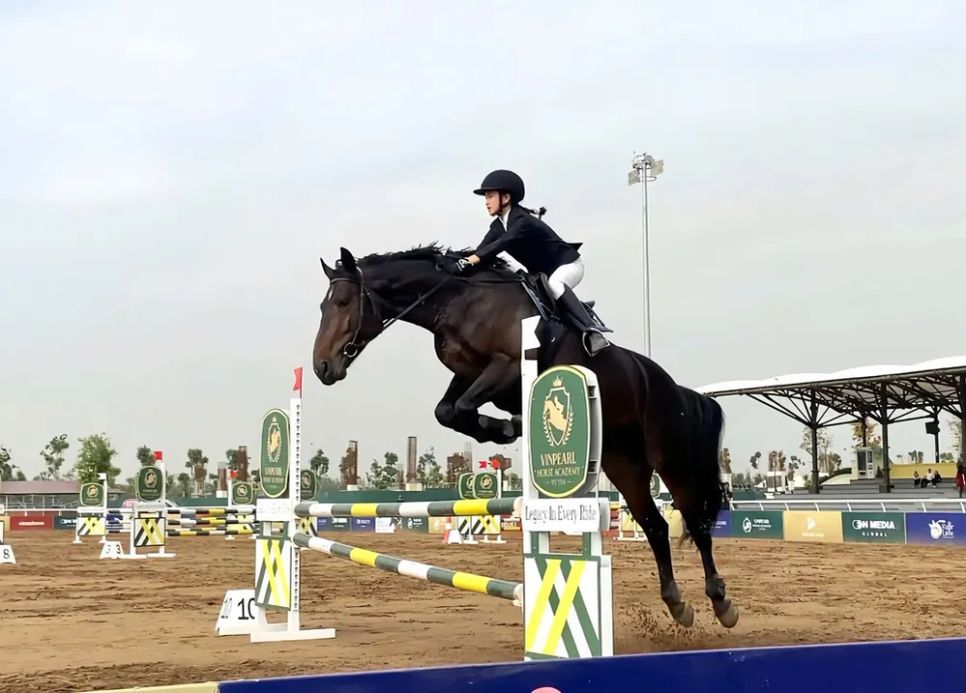 Mãn nhãn đường đua ngựa chuyên nghiệp Mãn nhãn đường đua ngựa chuyên nghiệp