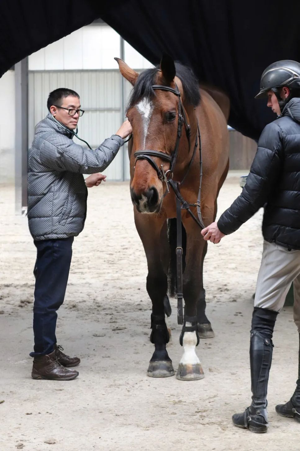 Mãn nhãn đường đua ngựa chuyên nghiệp Mãn nhãn đường đua ngựa chuyên nghiệp