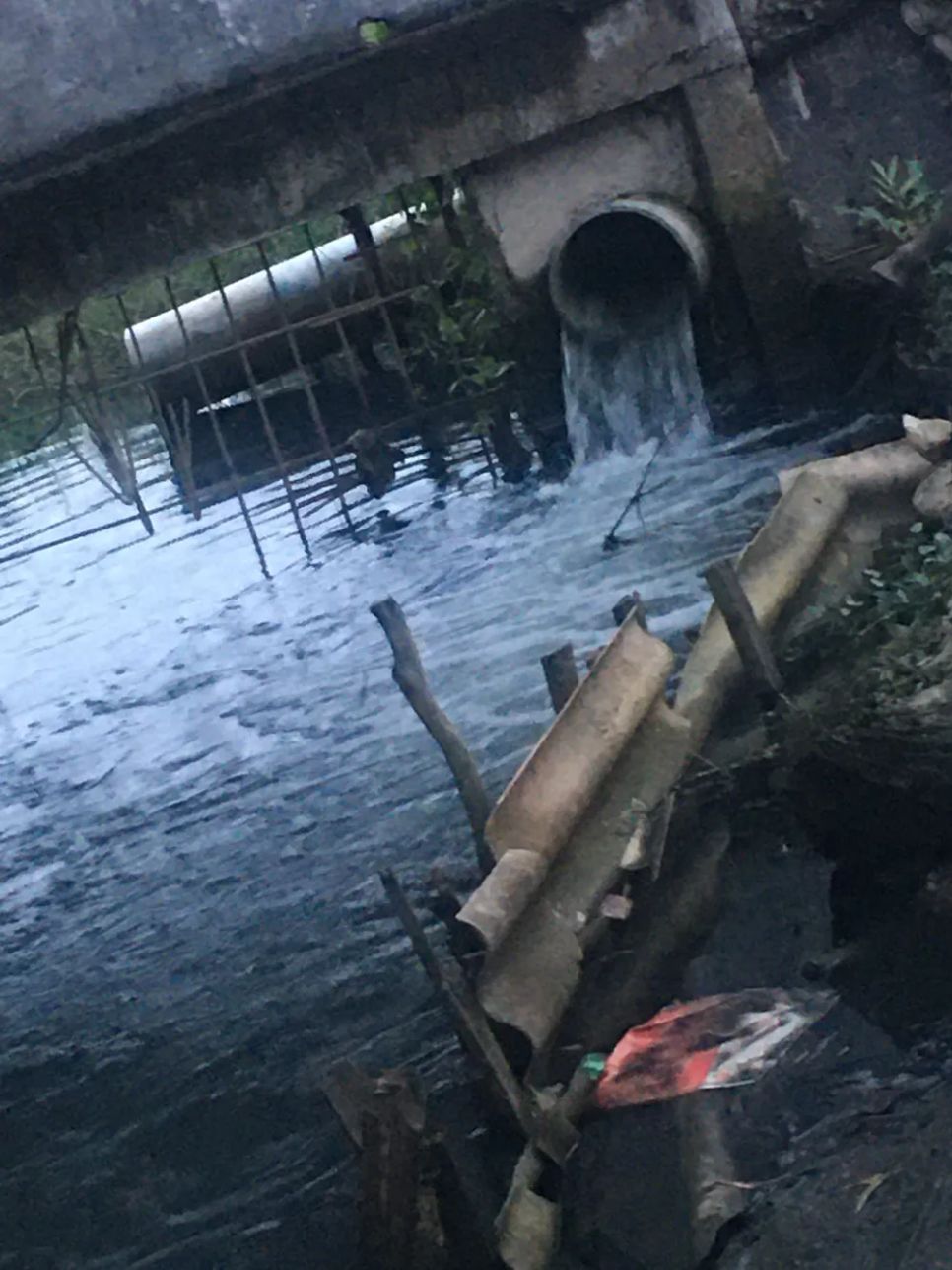 Chính quyền xã Mỹ Yên, tỉnh Tây Ninh đang xác định nguồn xả thải để xử lý nghiêm theo quy định Chính quyền xã Mỹ Yên, tỉnh Tây Ninh đang xác định nguồn xả thải để xử lý nghiêm theo quy định