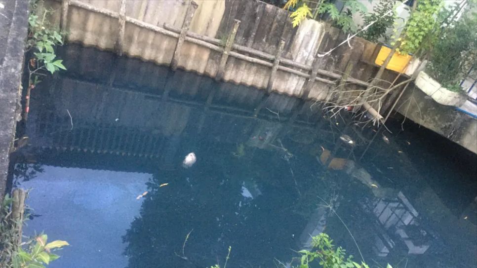 Nước trên kênh Mười Thế, xã Mỹ Yên, tỉnh Tây Ninh đen đặc, bốc mùi hôi thối ảnh hưởng đến đời sống người dân Nước trên kênh Mười Thế, xã Mỹ Yên, tỉnh Tây Ninh đen đặc, bốc mùi hôi thối ảnh hưởng đến đời sống người dân