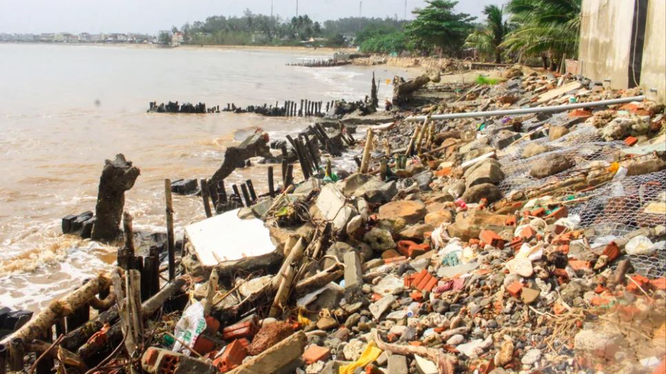 Quảng Ngãi: Bờ biển An Hải sạt lở nghiêm trọng do triều cường xâm thực Quảng Ngãi: Bờ biển An Hải sạt lở nghiêm trọng do triều cường xâm thực