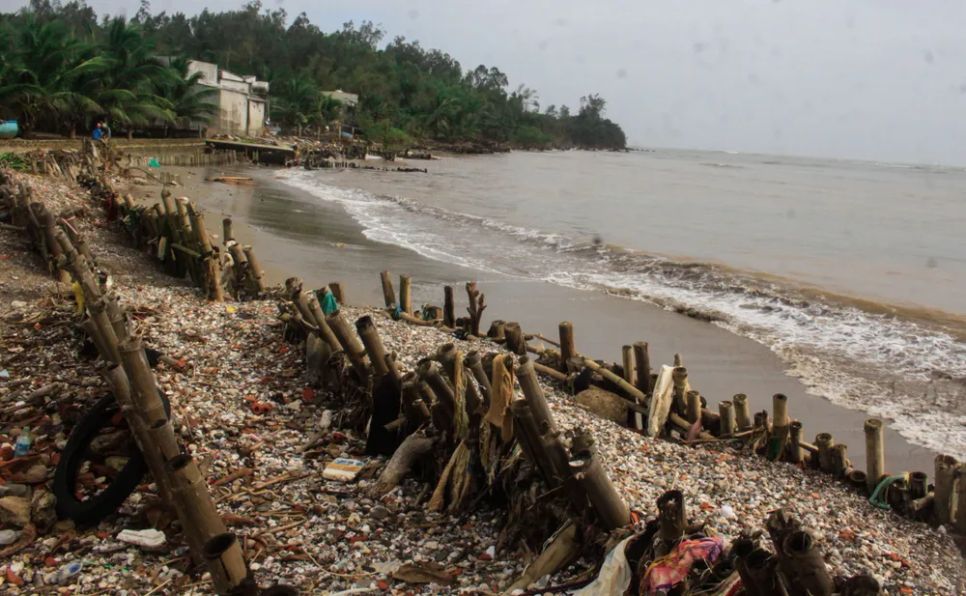 Quảng Ngãi: Bờ biển An Hải sạt lở nghiêm trọng do triều cường xâm thực Quảng Ngãi: Bờ biển An Hải sạt lở nghiêm trọng do triều cường xâm thực