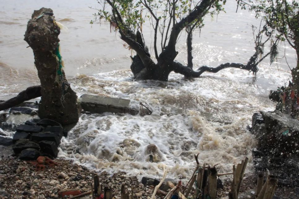 Quảng Ngãi: Bờ biển An Hải sạt lở nghiêm trọng do triều cường xâm thực Quảng Ngãi: Bờ biển An Hải sạt lở nghiêm trọng do triều cường xâm thực
