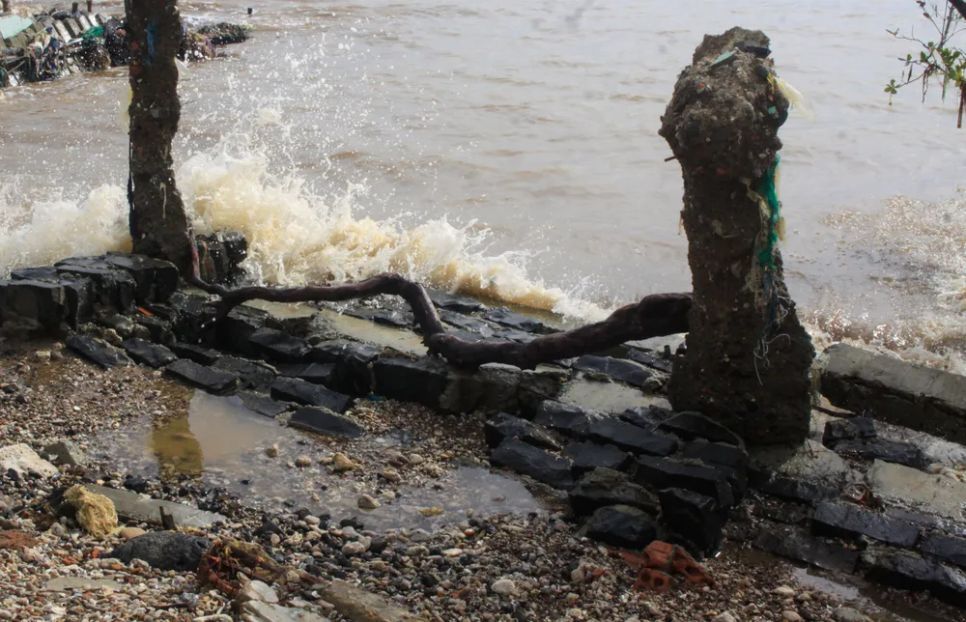 Quảng Ngãi: Bờ biển An Hải sạt lở nghiêm trọng do triều cường xâm thực Quảng Ngãi: Bờ biển An Hải sạt lở nghiêm trọng do triều cường xâm thực