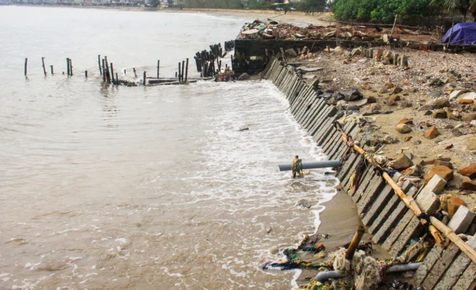 Quảng Ngãi: Bờ biển An Hải sạt lở nghiêm trọng do triều cường xâm thực Quảng Ngãi: Bờ biển An Hải sạt lở nghiêm trọng do triều cường xâm thực