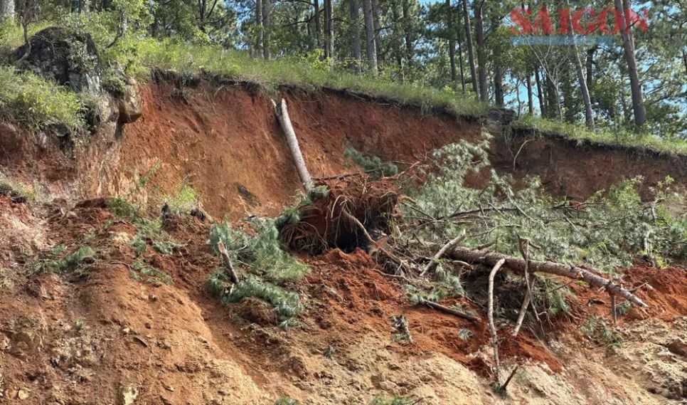 Lâm Đồng: Cho lưu thông tạm thời một số phương tiện qua đèo Prenn Lâm Đồng: Cho lưu thông tạm thời một số phương tiện qua đèo Prenn