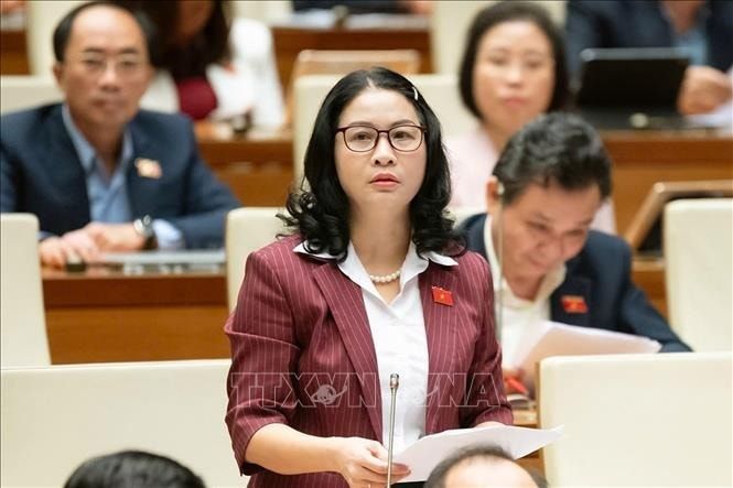 Đại biểu Quốc hội TP. Hà Nội Nguyễn Thị Lan phát biểu tại Quốc hội, sáng 8/12. Ảnh: Doãn Tấn/TTXVN