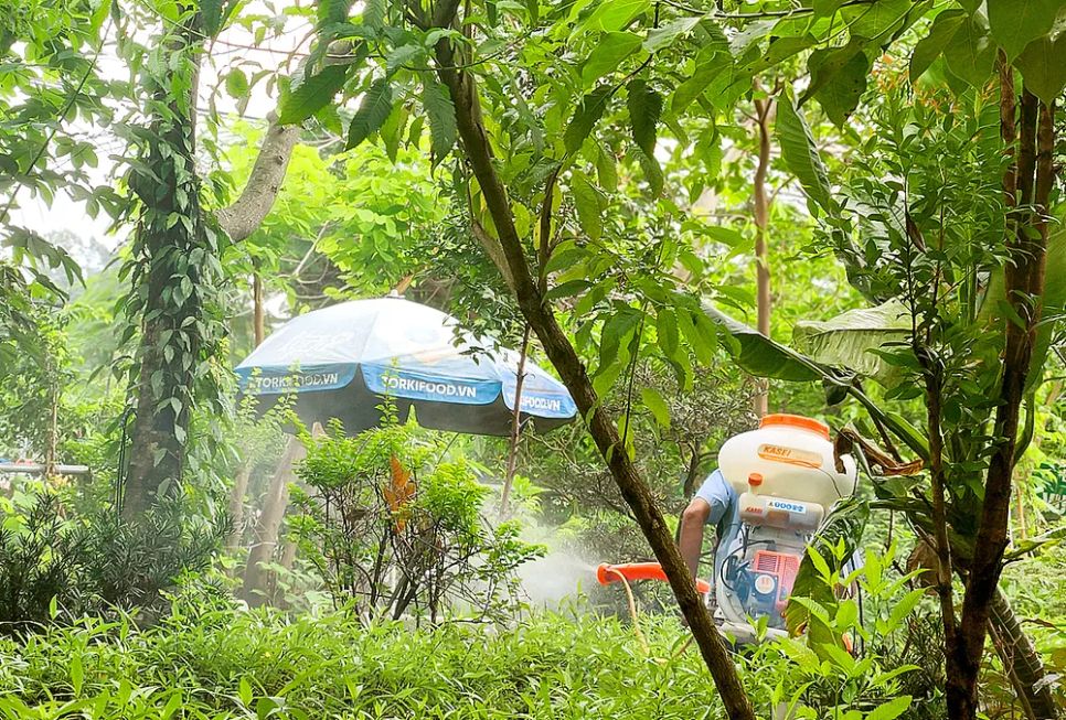 Phun xịt hóa chất diệt muỗi tại một khu dân cư ở TPHCM Phun xịt hóa chất diệt muỗi tại một khu dân cư ở TPHCM