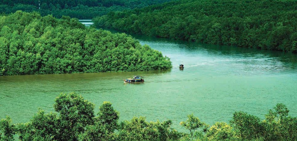 Cây đời mãi xanh tươi Cây đời mãi xanh tươi