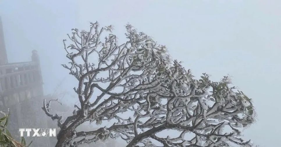 Sơn La cảnh báo xuất hiện băng tuyết từ đêm 13-12