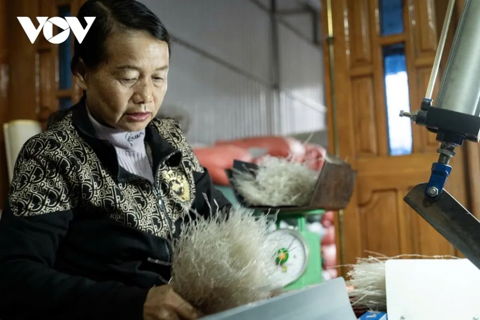 Làng nghề miến dong Bình Lư rộn ràng mùa Tết Nguyên đán Làng nghề miến dong Bình Lư rộn ràng mùa Tết Nguyên đán