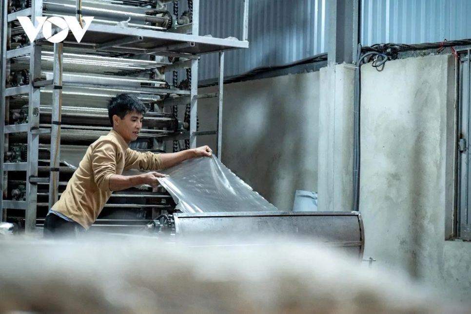 Làng nghề miến dong Bình Lư rộn ràng mùa Tết Nguyên đán Làng nghề miến dong Bình Lư rộn ràng mùa Tết Nguyên đán